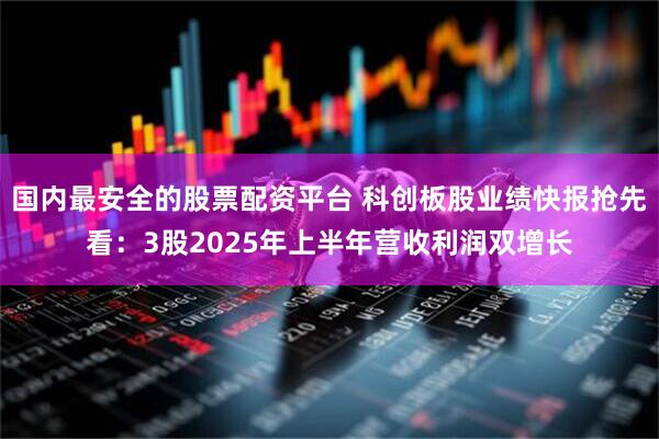 国内最安全的股票配资平台 科创板股业绩快报抢先看：3股2025年上半年营收利润双增长