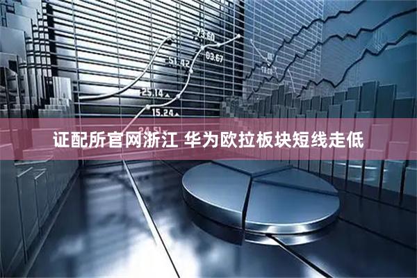 证配所官网浙江 华为欧拉板块短线走低