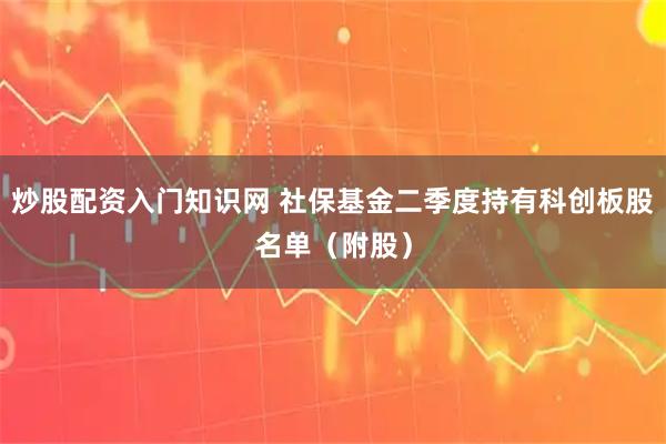 炒股配资入门知识网 社保基金二季度持有科创板股名单（附股）