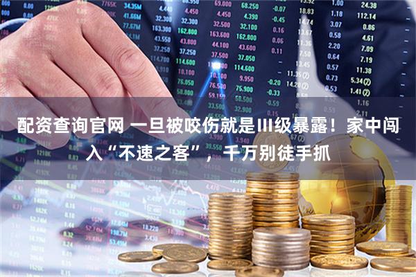 配资查询官网 一旦被咬伤就是Ⅲ级暴露！家中闯入“不速之客”，千万别徒手抓