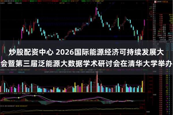 炒股配资中心 2026国际能源经济可持续发展大会暨第三届泛能源大数据学术研讨会在清华大学举办