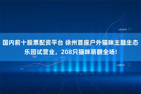 国内前十股票配资平台 徐州首座户外猫咪主题生态乐园试营业，208只猫咪萌翻全场!