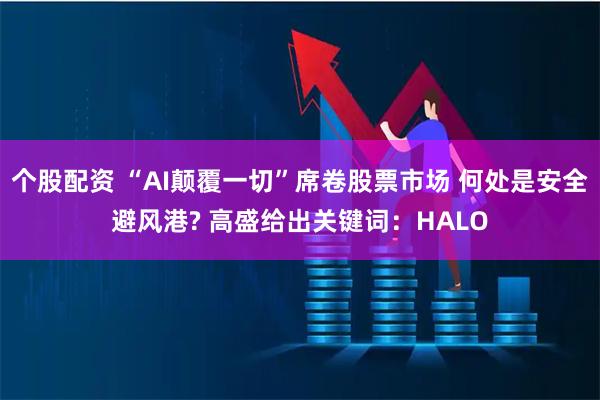 个股配资 “AI颠覆一切”席卷股票市场 何处是安全避风港? 高盛给出关键词：HALO