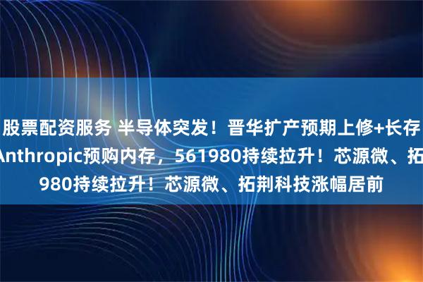 股票配资服务 半导体突发！晋华扩产预期上修+长存年底投产准备+Anthropic预购内存，561980持续拉升！芯源微、拓荆科技涨幅居前